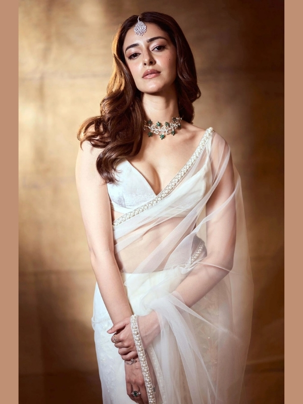 Ananya Panday Hot Saree Photos
