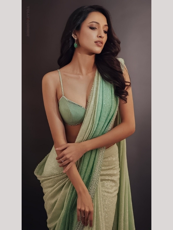 Bollywood sexy saree