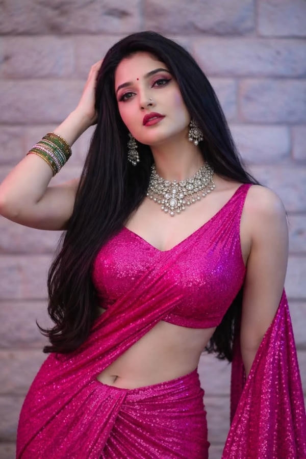 Hot Indian Red Saree Photos