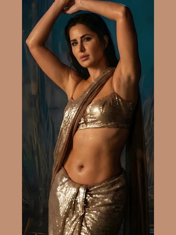 Katrina Kaif Hot Saree Photos