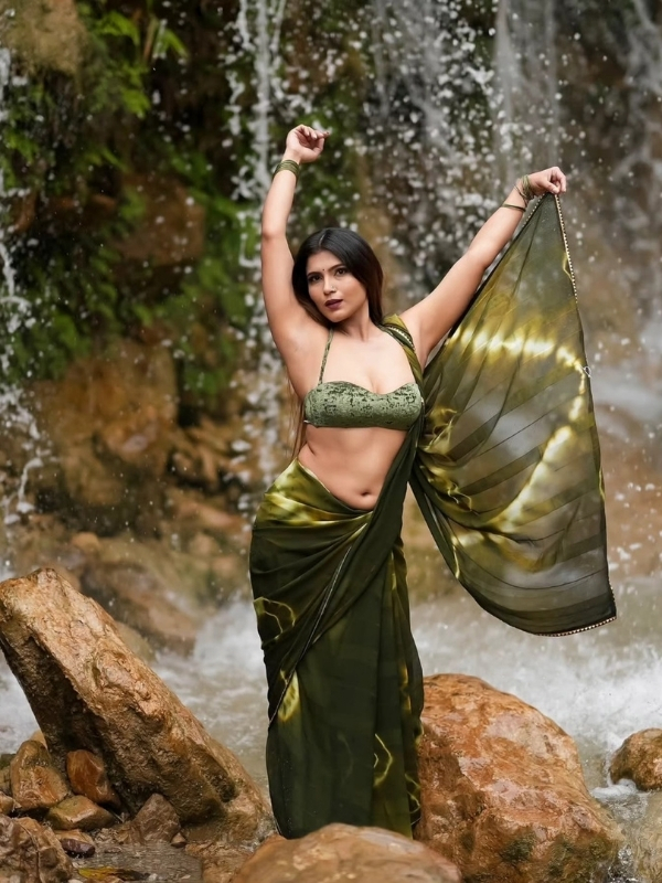 sexy saree blouse